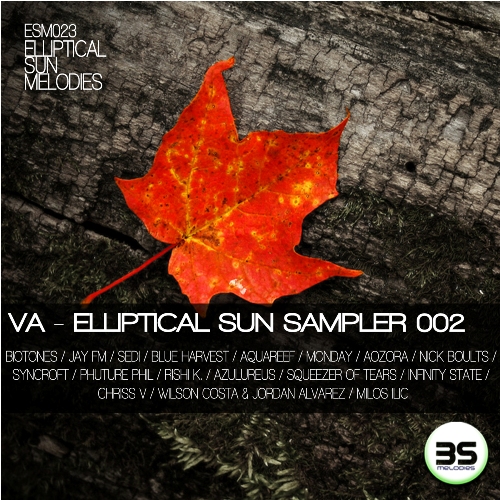 VA – Elliptical Sun Sampler 002