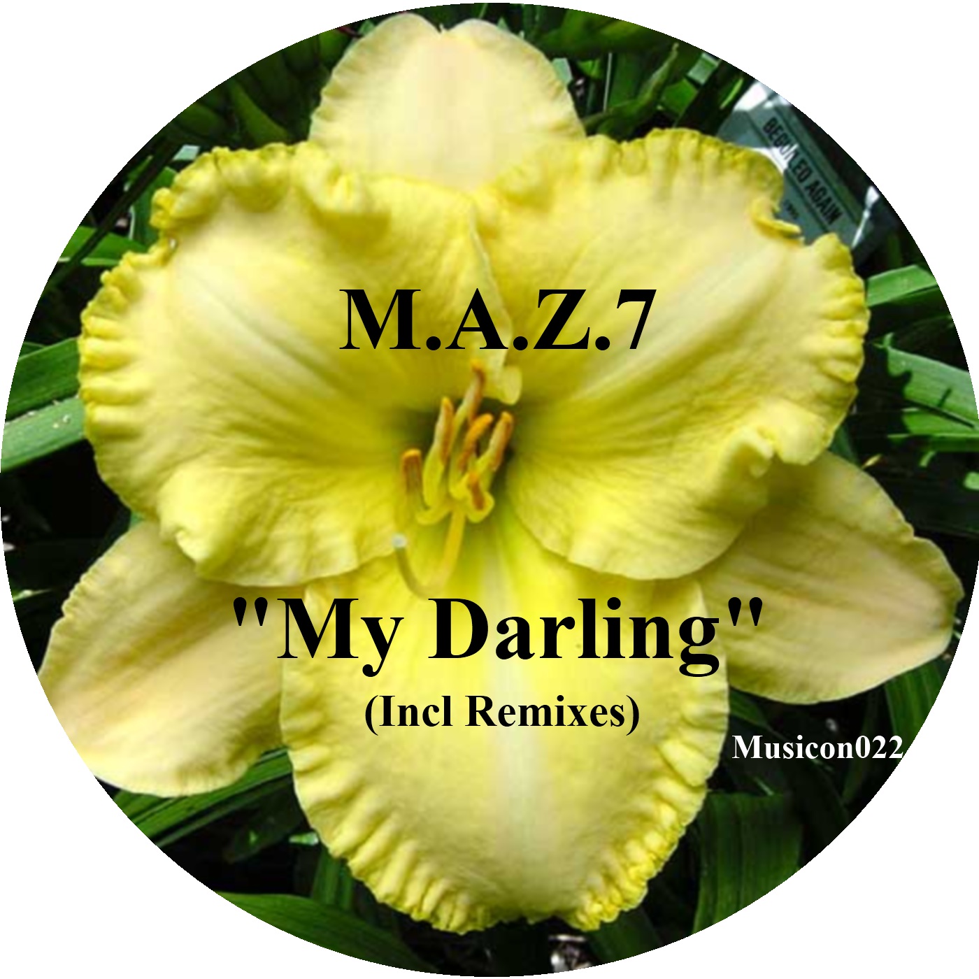 M.A.Z.7 – My Darling