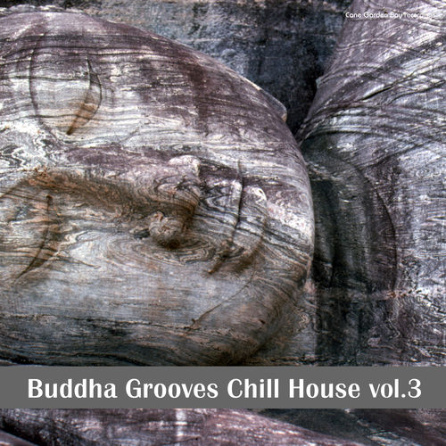 Buddha Grooves Chill House Vol.3