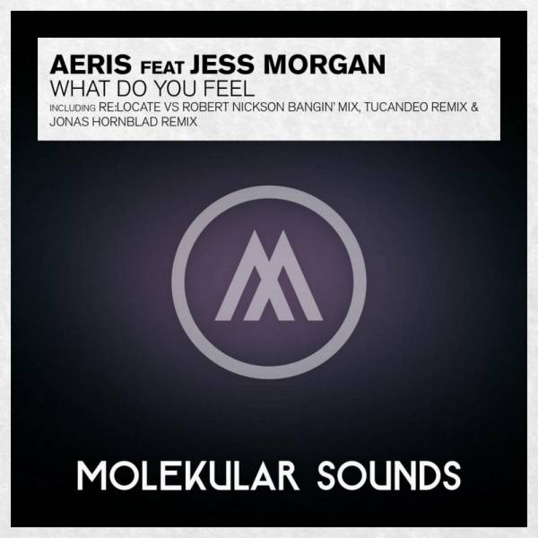 Aeris Feat. Jess Morgan – What Do You Feel?