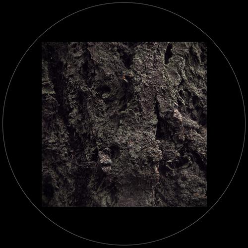 Emmanuel – Patina