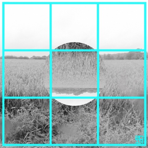 Just – Memories Fade & Treetops