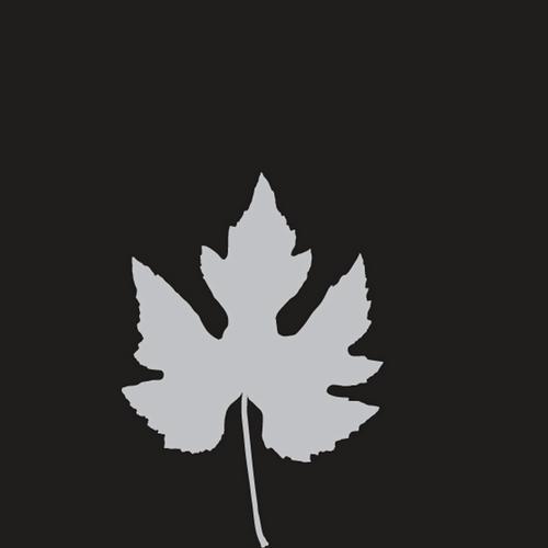 The Subliminal Kid & S100 – Untitled