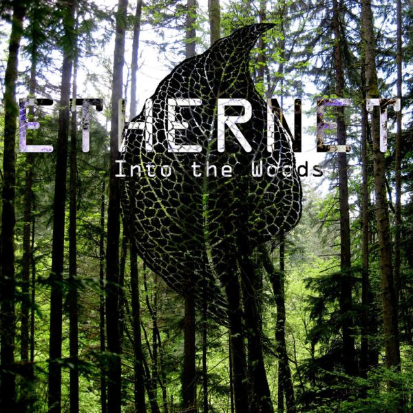Ethernet – Into The Woods