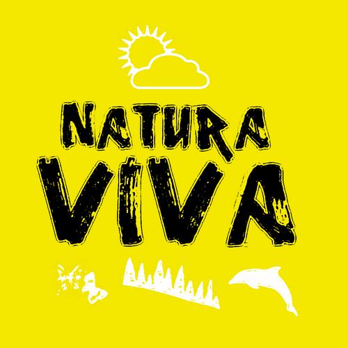 VIVA 2012.2