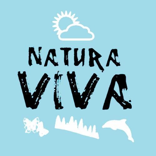 VIVA 2012.1