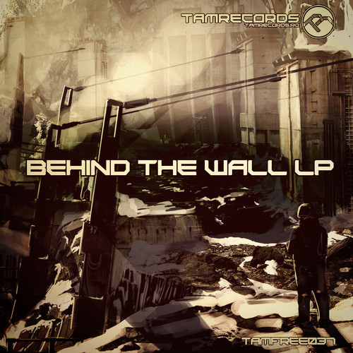 VA – Behind The Wall LP