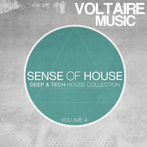 Sense Of House Vol. 4 (2013)