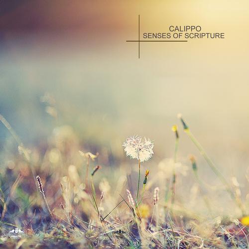 Calippo – Senses of Scripture