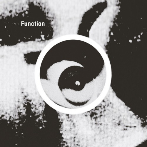 Function – Gradient