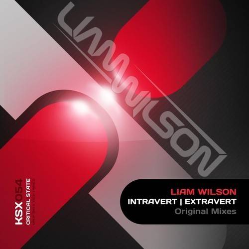 Liam Wilson – Introvert / Extravert
