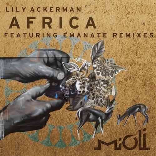 Lily Ackerman – Africa