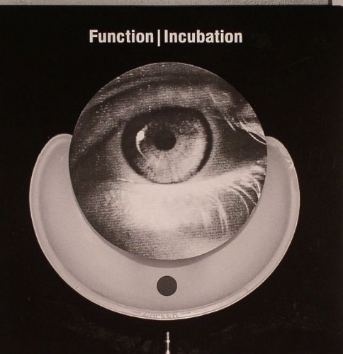 Function – Incubation