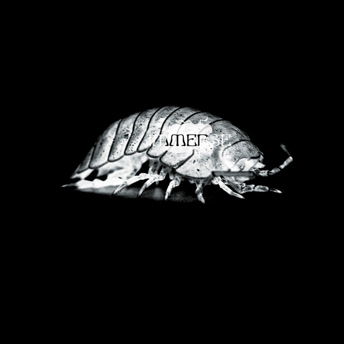 Late – Phantom Papers EP