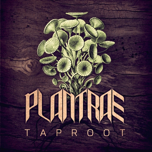 Plantrae – Taproot