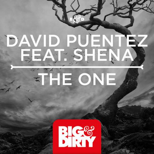 Shena & David Puentez – The One