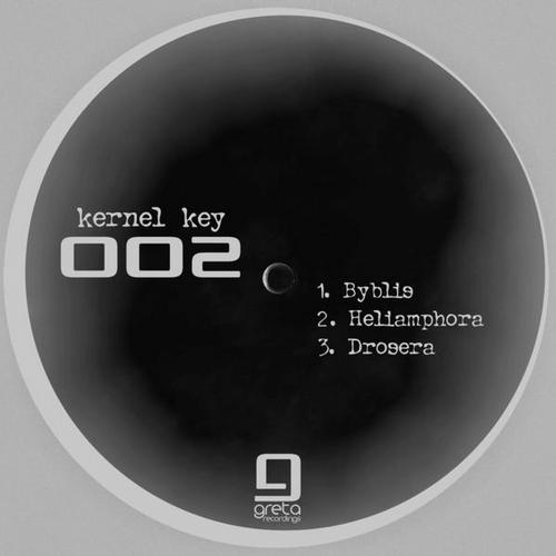 Kernel Key – 002