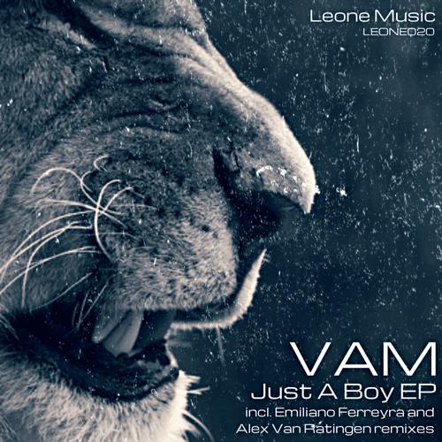 VAM – Just A Boy