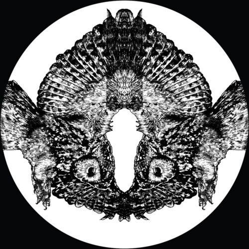 Pfirter – Ahora