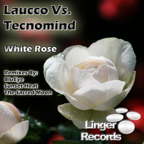 Laucco vs Tecnomind – White Rose