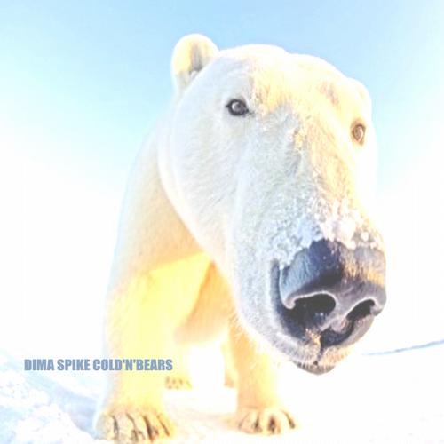 Dima Spike & V Rush – Cold’N’bearS