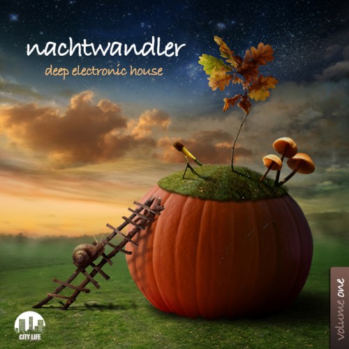 Nachtwandler Vol 1: Deep Electronic House