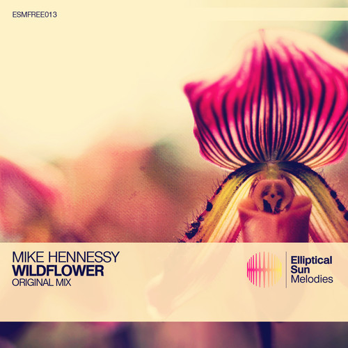 Mike Hennessy – Wildflower