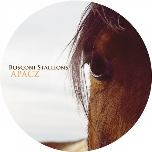 Herva, Rondenion, Riccio, The Clover & San Proper – Bosconi Stallions – Apacz