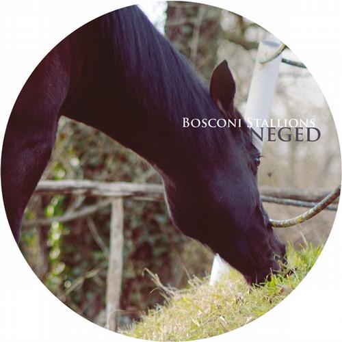 Bosconi Stallions – Neged