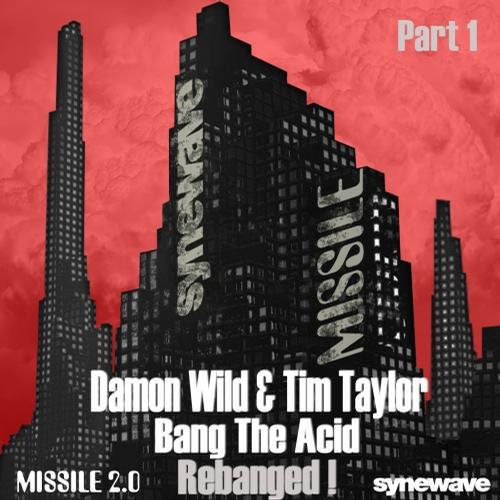 Damon Wild & Tim Taylor – Bang the Acid: Rebanged!