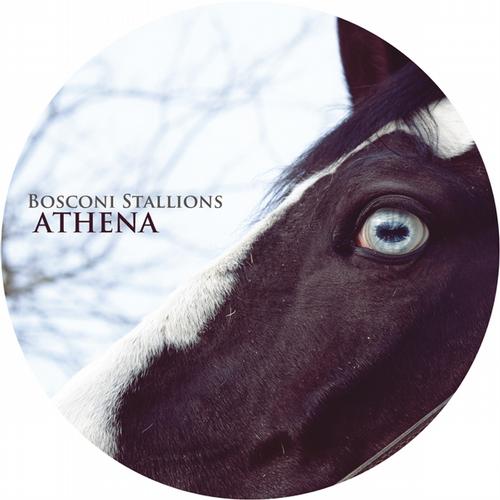 Bosconi Stallions – Athena