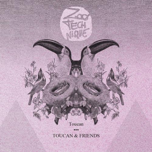 Toucan, Jaen Paniagua, Mauricio Lage & Jacktune – Toucan & Friends