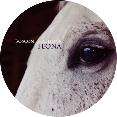 Bosconi Stallions: Teona