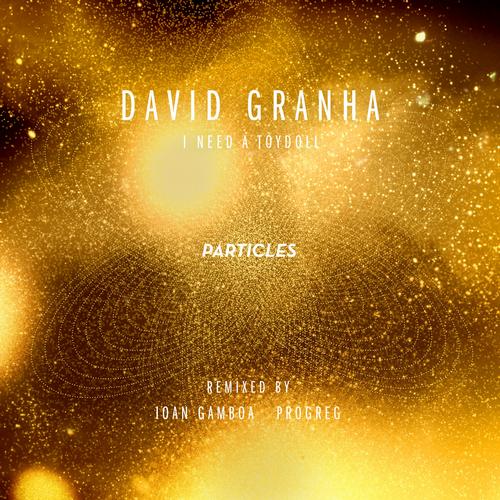 David Granha – I Need A Toydoll