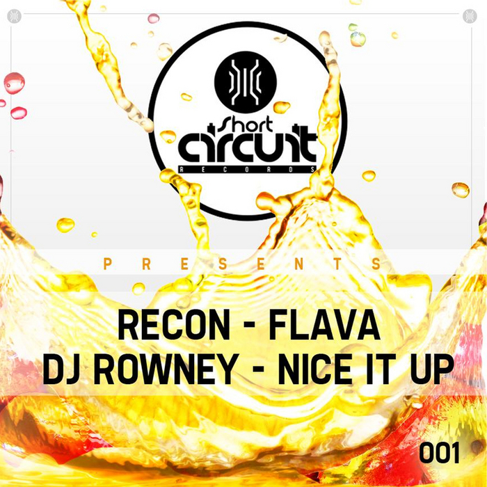 Recon & DJ Rowney – Flava / Nice It Up