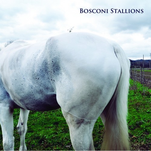 Bosconi Stallions Compilation: Celebrating 5 Years Of Bosconi Records (unmixed tracks)