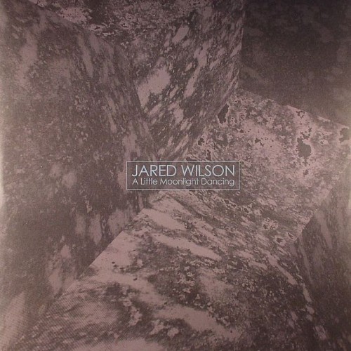 Jared WILSON – A Little Moonlight Dancing