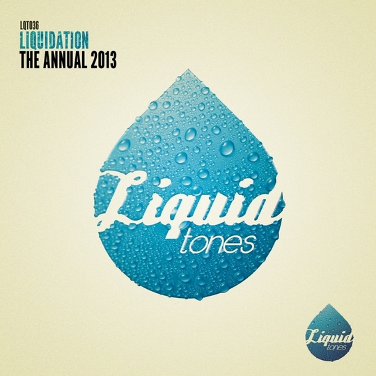 Liquidation: The Annual 2013