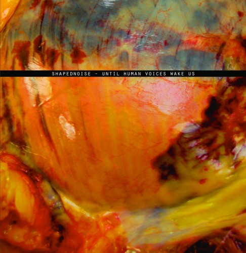 Shapednoise – Until Human Voices Wake Us