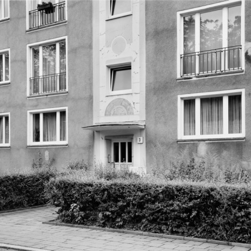 I AM HALO – Garden