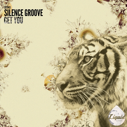 Silence Groove – Get You