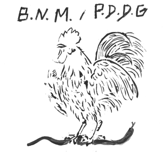 B.N.M. & P.D.D.G. – B.N.M. / P.D.D.G.