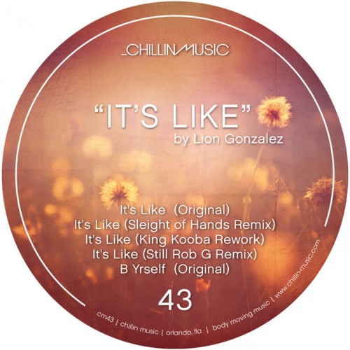 Lion Gonzalez – It’s Like (remixes)