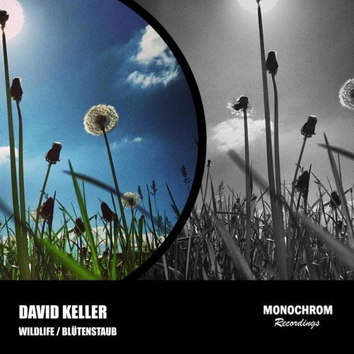 David Keller – Wildlife / Blutenstaub