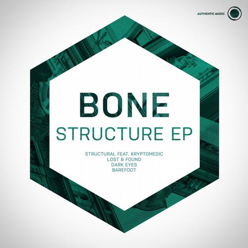 Bone – Structure