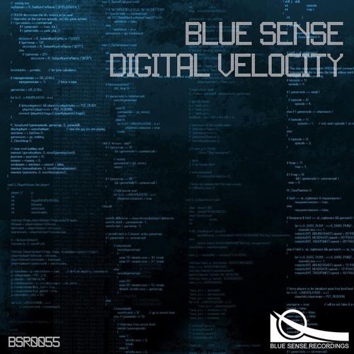 Blue Sense – Digital Velocity