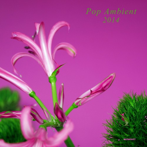 VA – Pop Ambient 2014