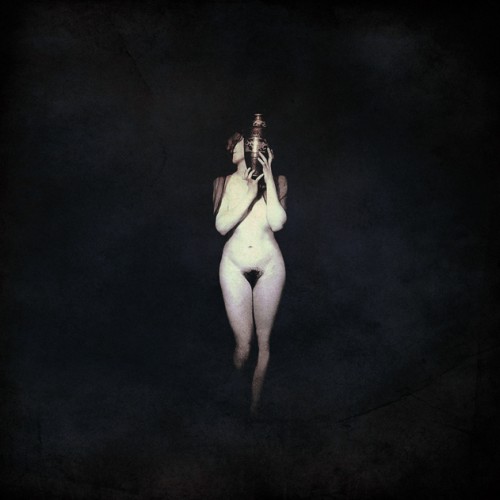 Black Swan – Tone Poetry
