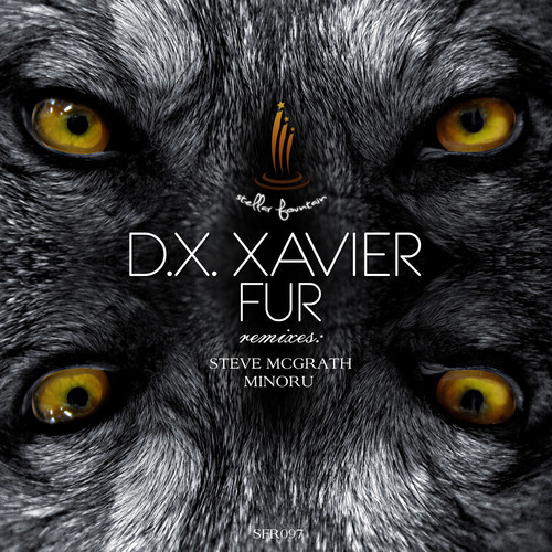D.X. Xavier – Fur EP