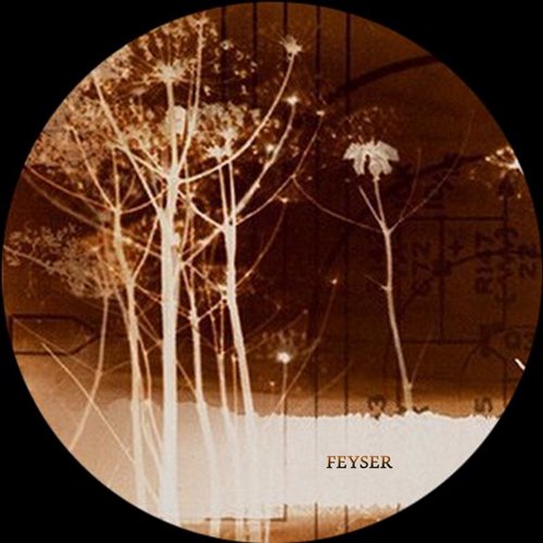 Feyser – M&n